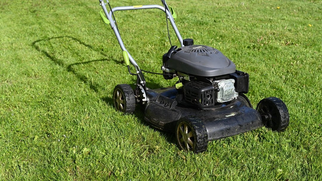 black and yellow push lawn mower on green grass during daytime black and yellow push lawn mower on green grass during daytime