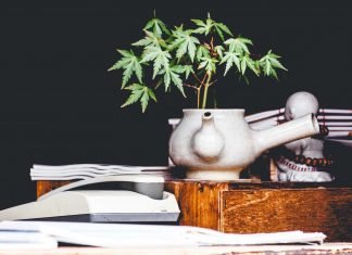CBD-Oil-on-Coreinfluencer